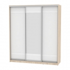 Шкаф-купе Аларти B-230х200х60-2ДСС-Белый-D9D10D9