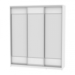 Шкаф-купе Аларти B-230х200х60-3Белый-D8D8D8