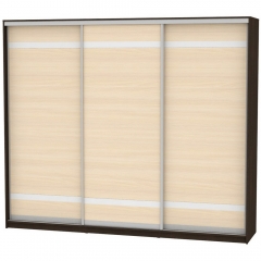 Шкаф-купе Аларти B-230х270х60-3Венге-ДМ-D9D9D9