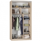 Шкаф-купе Аларти B-220х120х60-1ВД-D7D8