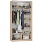 Шкаф-купе Аларти B-220х120х60-2ЯШТ-D8D8