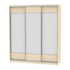 Шкаф-купе Аларти B-220х200х60-1ДМ-D8D8D8