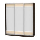 Шкаф-купе Аларти B-220х200х60-1Венге-ДМ-D10D10D10