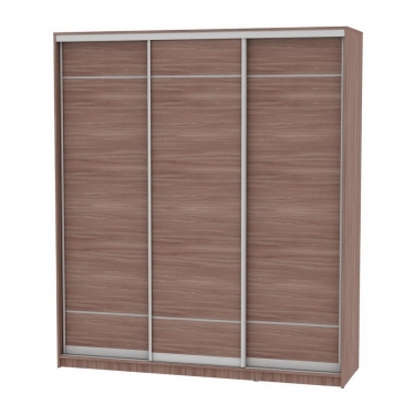 Шкаф-купе Аларти B-220х200х60-2ЯАТ-D7D7D7