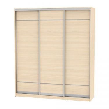 Шкаф-купе Аларти B-220х200х60-3ДМ-D7D7D7