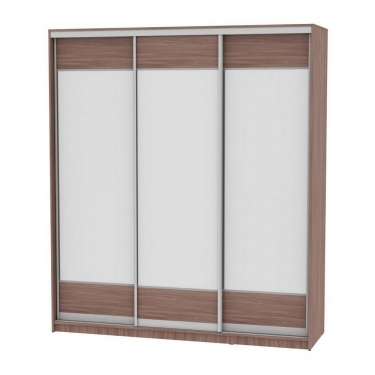Шкаф-купе Аларти B-220х200х60-3ЯШТ-D8D8D8