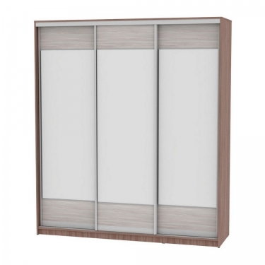 Шкаф-купе Аларти B-220х200х60-3ЯШТ-ЯШС-D8D8D8