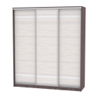 Шкаф-купе Аларти B-220х200х60-3ЯАТ-ЯАС-D9D9D9