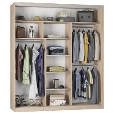 Шкаф-купе Аларти B-220х200х60-3ЯАТ-ЯАС-D9D9D9