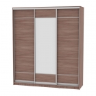 Шкаф-купе Аларти B-220х200х60-3ЯШТ-D7D8D7