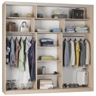 Шкаф-купе Аларти B-220х235х60-1ЯШТ-ЯШС-D10D10D10