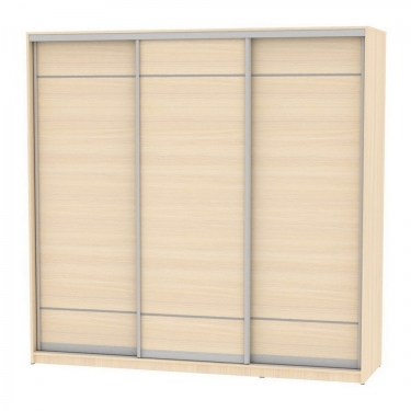 Шкаф-купе Аларти B-220х235х60-2ДМ-D7D7D7