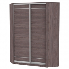 Шкаф-купе Аларти YA-198х1250-2ЯАТ-D4D4