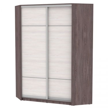 Шкаф-купе Аларти YA-198х1250-2ЯАТ-ЯАС-D4D4