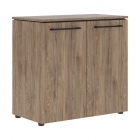 Шкаф с глухими малыми дверьми Skyland ENIO MLC 85.1 Кария Пальмира